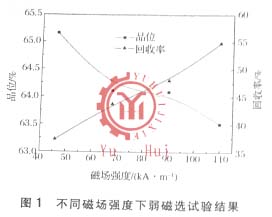 不同磁场强度下弱磁选试验结果